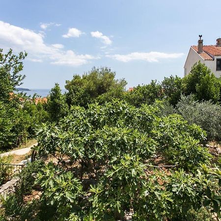 Apartment Tetepave Dubrovnik Kültér fotó